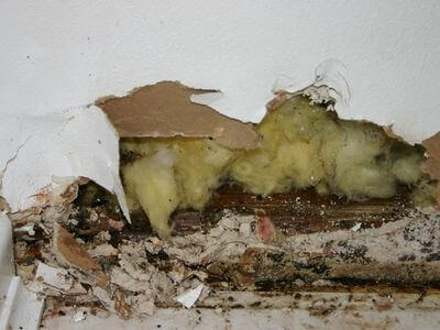 Professional water damage restoration services in Regina